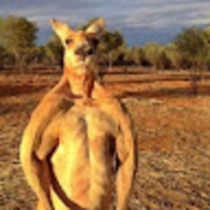 Meet your Posher, Devin